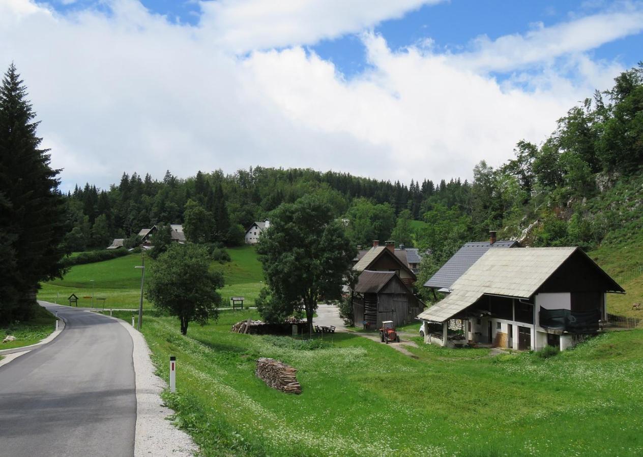 Tourist Farm Pr' Maretc Apartment Bohinjska Bistrica Exterior photo